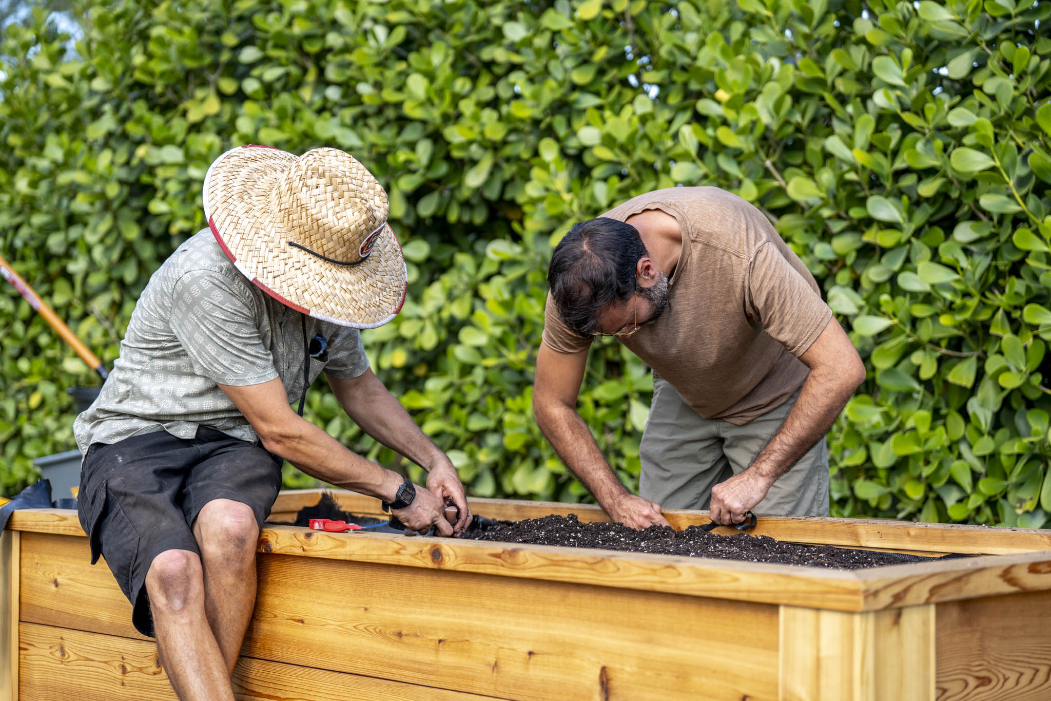 kitchen garden maintenance