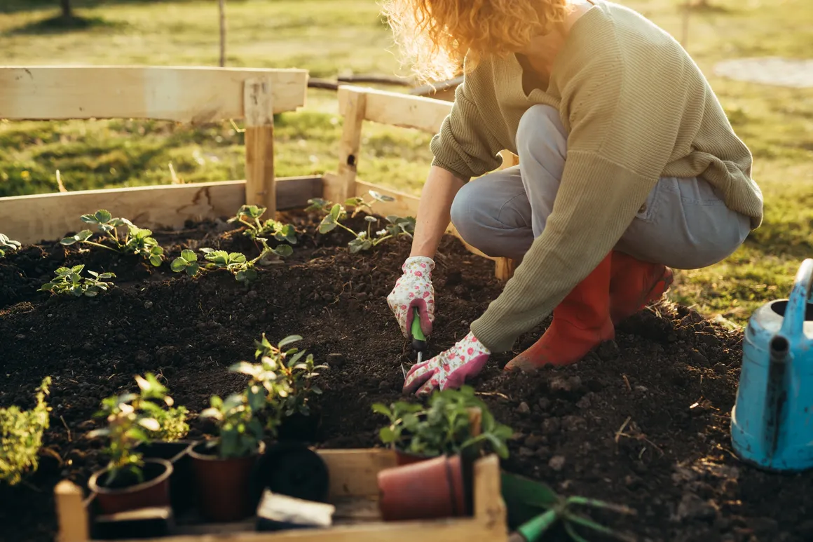 a woman planting