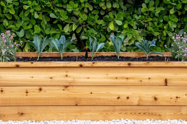 Palm Beach Kitchen Gardens