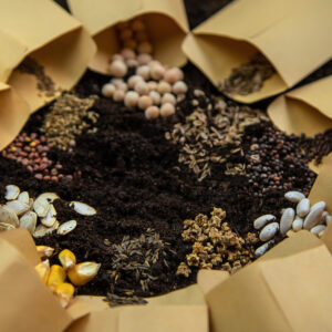 Seeds in bags on the soil. Selective focus.