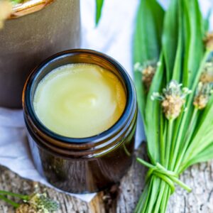 Herbal Healing Salve (2 oz)