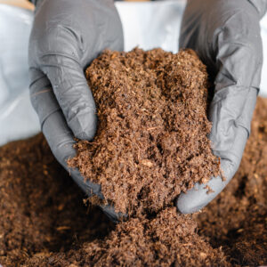 Palm Beach Vermicompost