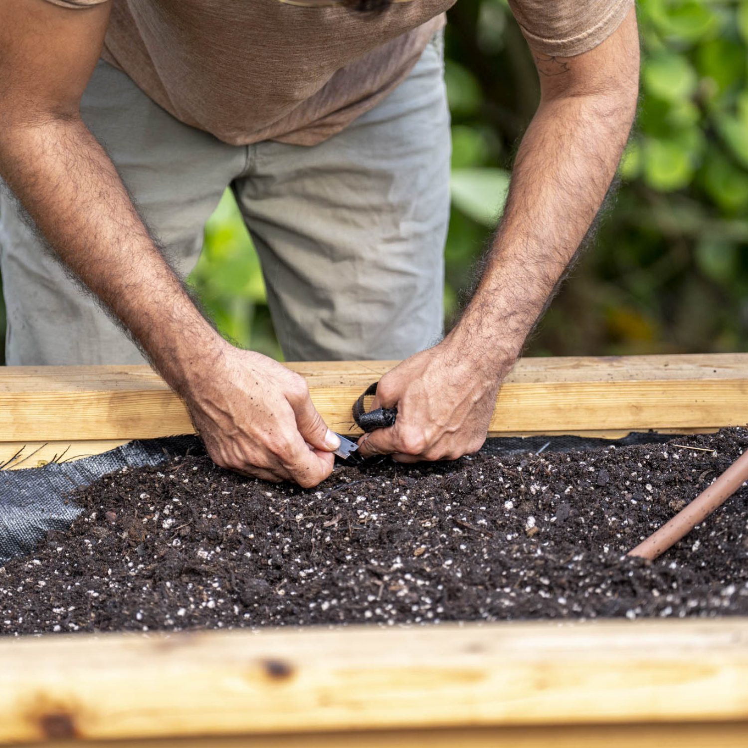 Garden Coaching with Palm Beach Kitchen Gardens