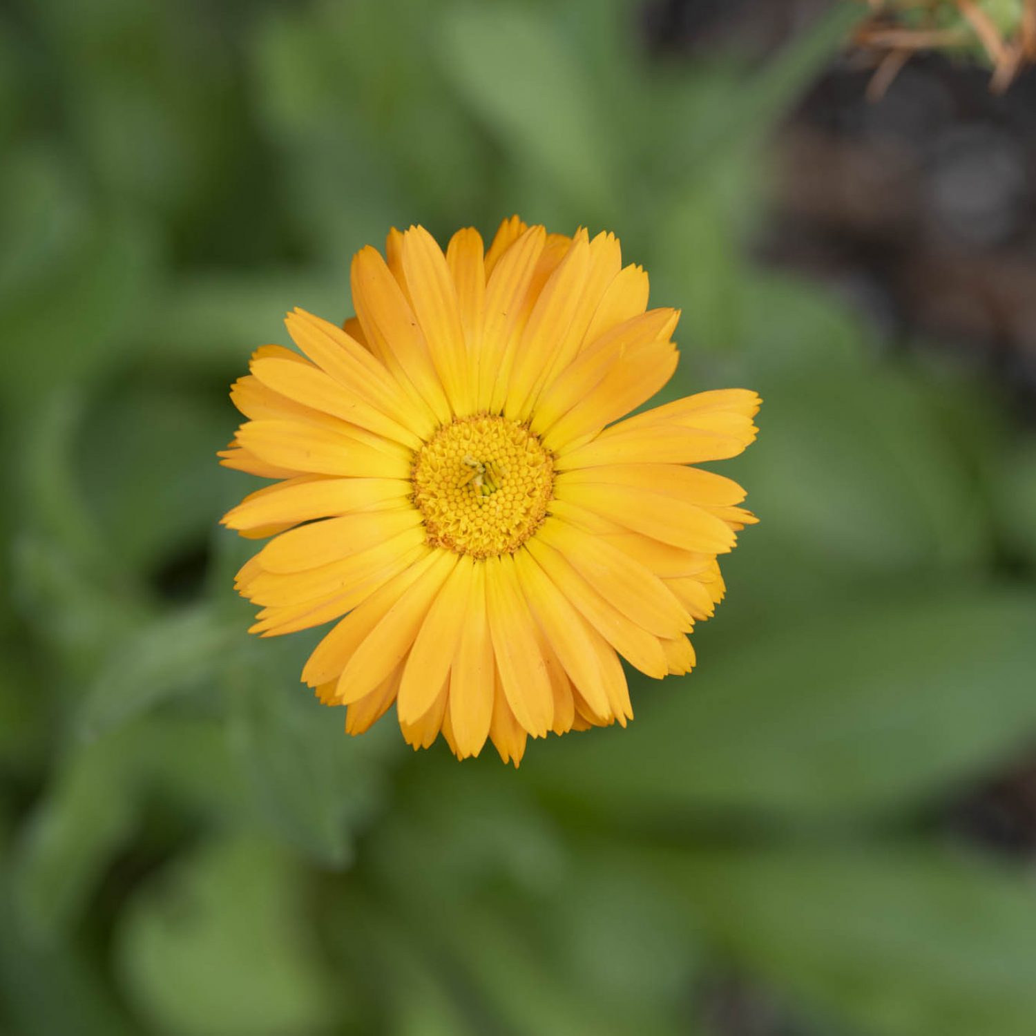 2025-03-13 PBKG Web 0224