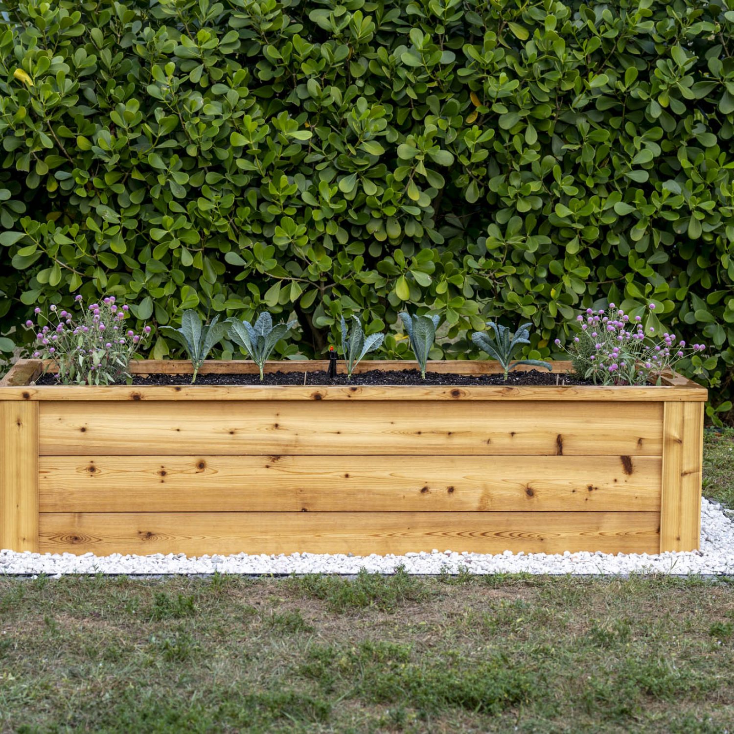 2025-03-13 PBKG Web 0233